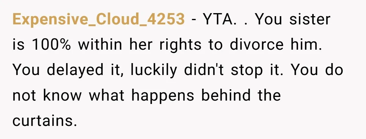Expensive_Cloud_4253 − YTA. . You sister is 100% within her rights to divorce him. You delayed it, luckily didn't stop it. You do not know what happens behind the curtains.