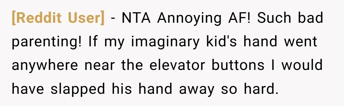[Reddit User] − NTA Annoying AF! Such bad parenting! If my imaginary kid's hand went anywhere near the elevator buttons I would have slapped his hand away so hard.