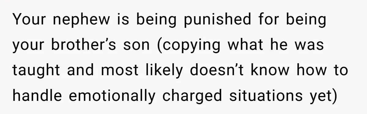 Your nephew is being punished for being your brother’s son (copying what he was taught and most likely doesn’t know how to handle emotionally charged situations yet)