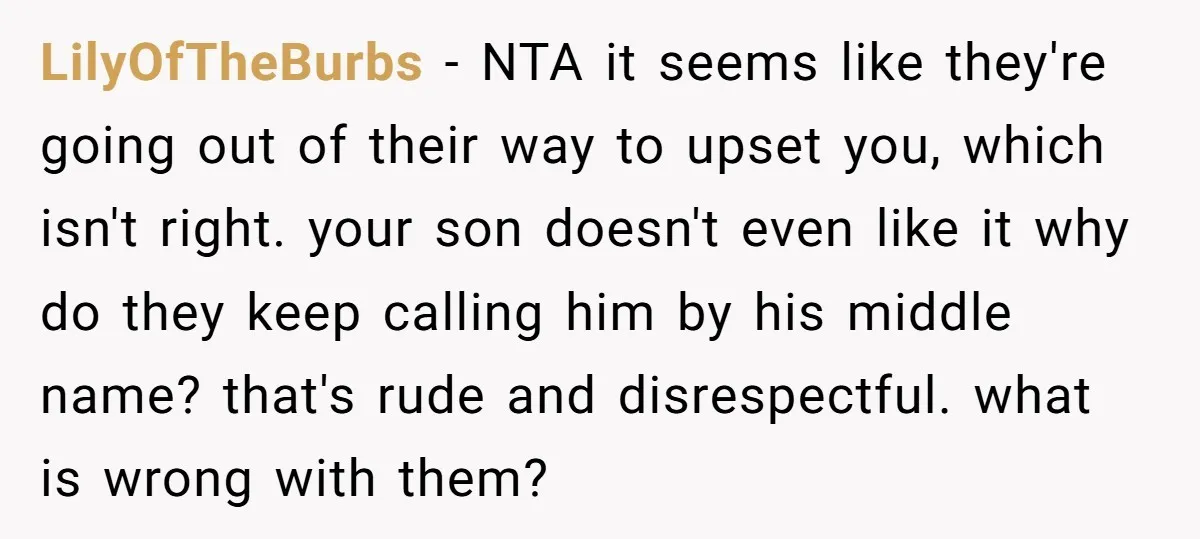LilyOfTheBurbs − NTA it seems like they're going out of their way to upset you, which isn't right. your son doesn't even like it why do they keep calling him...