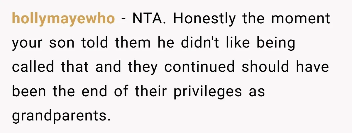 hollymayewho − NTA. Honestly the moment your son told them he didn't like being called that and they continued should have been the end of their privileges as grandparents.