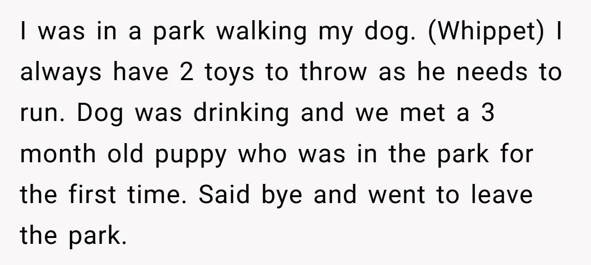 I was in a park walking my dog. (Whippet) I always have 2 toys to throw as he needs to run. Dog was drinking and we met a 3 month...