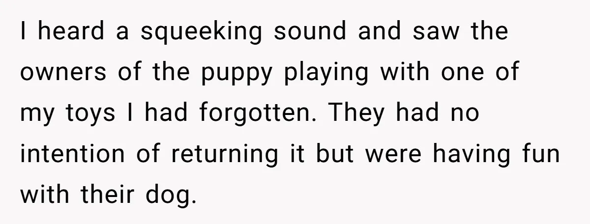 I heard a squeeking sound and saw the owners of the puppy playing with one of my toys I had forgotten. They had no intention of returning it but were...