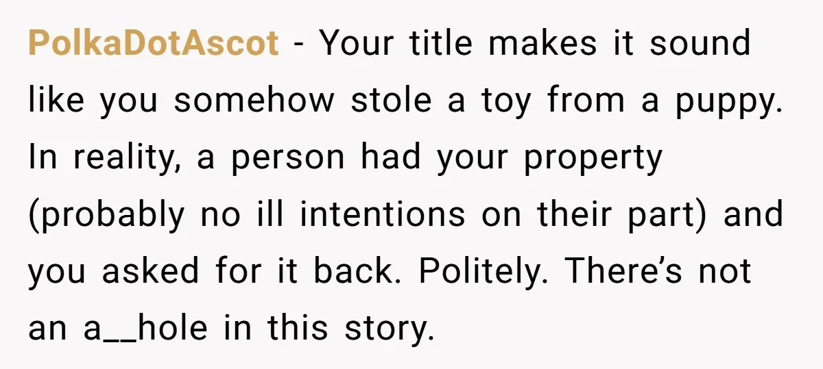 PolkaDotAscot − Your title makes it sound like you somehow stole a toy from a puppy. In reality, a person had your property (probably no ill intentions on their part)...