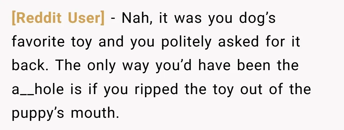 [Reddit User] − Nah, it was you dog’s favorite toy and you politely asked for it back. The only way you’d have been the a__hole is if you ripped the...