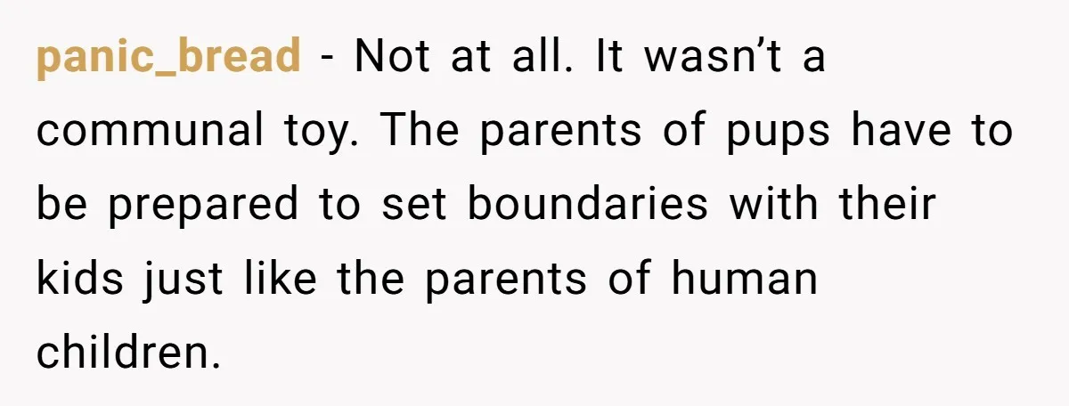 panic_bread − Not at all. It wasn’t a communal toy. The parents of pups have to be prepared to set boundaries with their kids just like the parents of human...