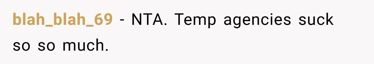 blah_blah_69 − NTA. Temp agencies suck so so much.