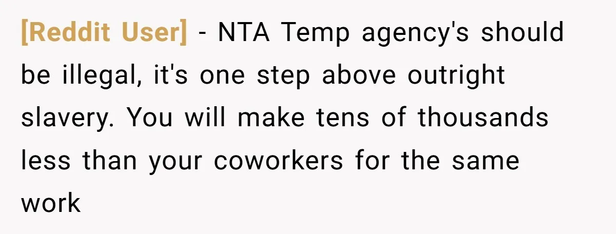 [Reddit User] − NTA Temp agency's should be illegal, it's one step above outright slavery. You will make tens of thousands less than your coworkers for the same work