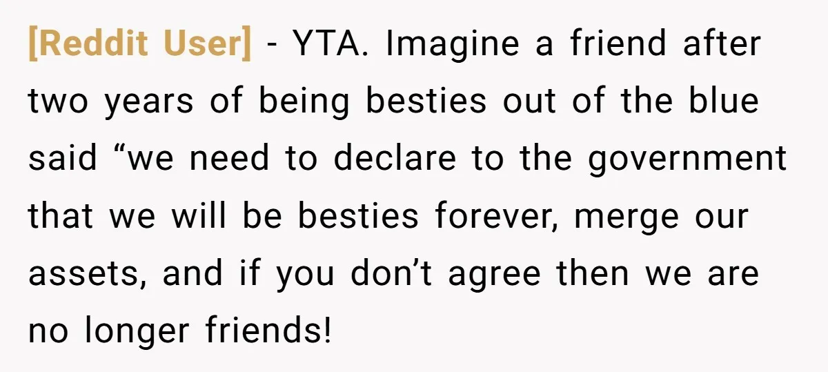 [Reddit User] − YTA. Imagine a friend after two years of being besties out of the blue said “we need to declare to the government that we will be besties...