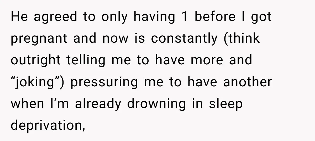 He agreed to only having 1 before I got pregnant and now is constantly (think outright telling me to have more and “joking”) pressuring me to have another when I’m...