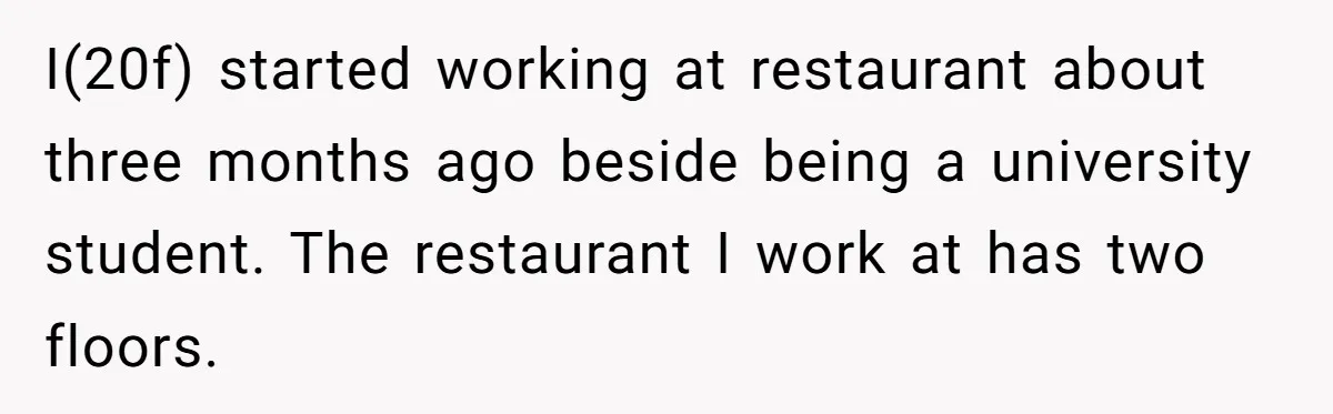 I(20f) started working at restaurant about three months ago beside being a university student. The restaurant I work at has two floors.