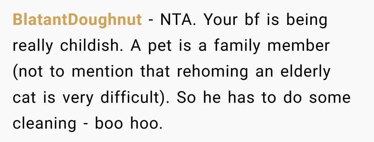 BlatantDoughnut - NTA. Your bf is being really childish. A pet is a family member (not to mention that rehoming an elderly cat is very difficult). So he has to...