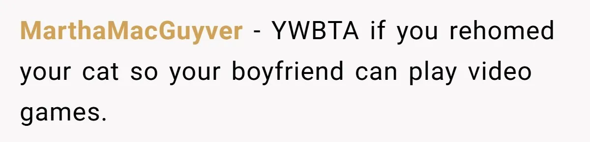 MarthaMacGuyver - YWBTA if you rehomed your cat so your boyfriend can play video games.