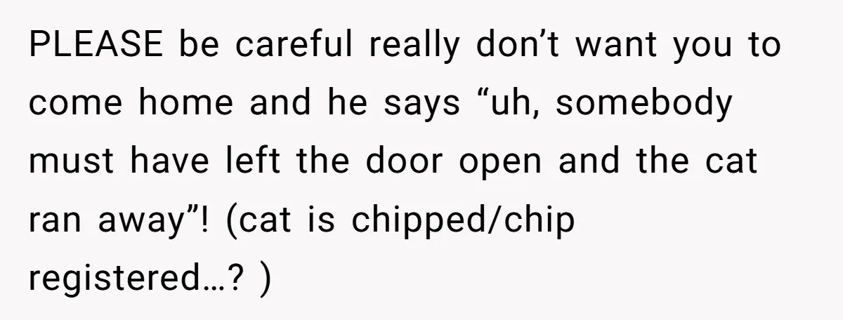PLEASE be careful really don’t want you to come home and he says “uh, somebody must have left the door open and the cat ran away”! (cat is chipped/chip registered…?...