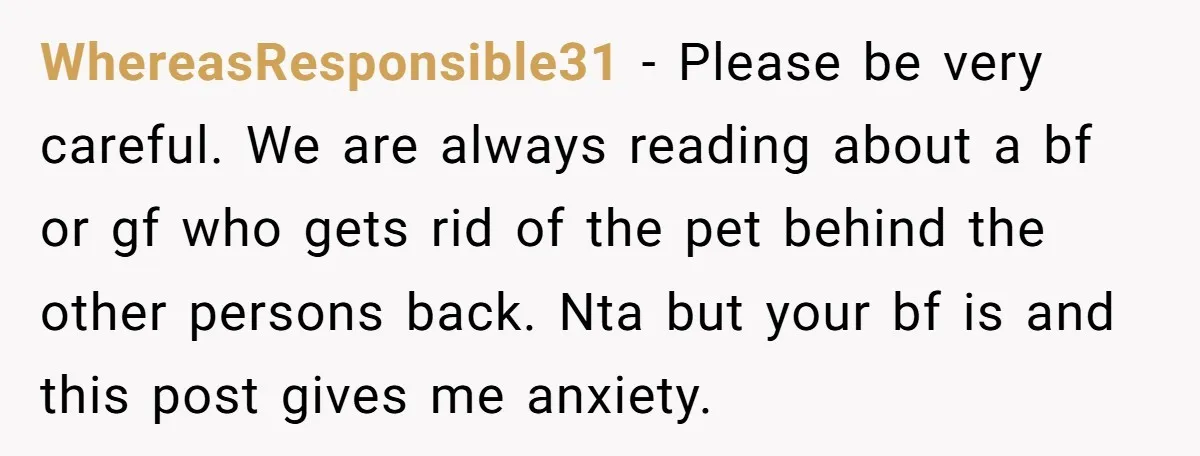 WhereasResponsible31 - Please be very careful. We are always reading about a bf or gf who gets rid of the pet behind the other persons back. Nta but your bf...