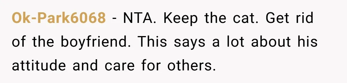 Ok-Park6068 - NTA. Keep the cat. Get rid of the boyfriend. This says a lot about his attitude and care for others.