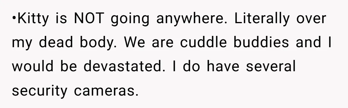•Kitty is NOT going anywhere. Literally over my dead body. We are cuddle buddies and I would be devastated. I do have several security cameras.
