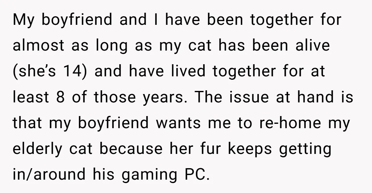 My boyfriend and I have been together for almost as long as my cat has been alive (she’s 14) and have lived together for at least 8 of those years....