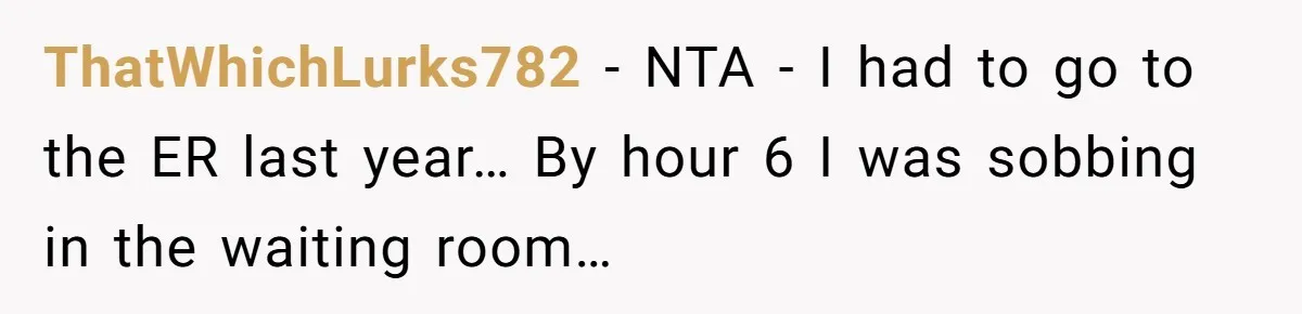 ThatWhichLurks782 − NTA - I had to go to the ER last year… By hour 6 I was sobbing in the waiting room…