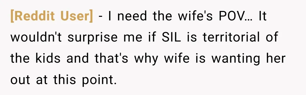 [Reddit User] - I need the wife's POV… It wouldn't surprise me if SIL is territorial of the kids and that's why wife is wanting her out at this point.