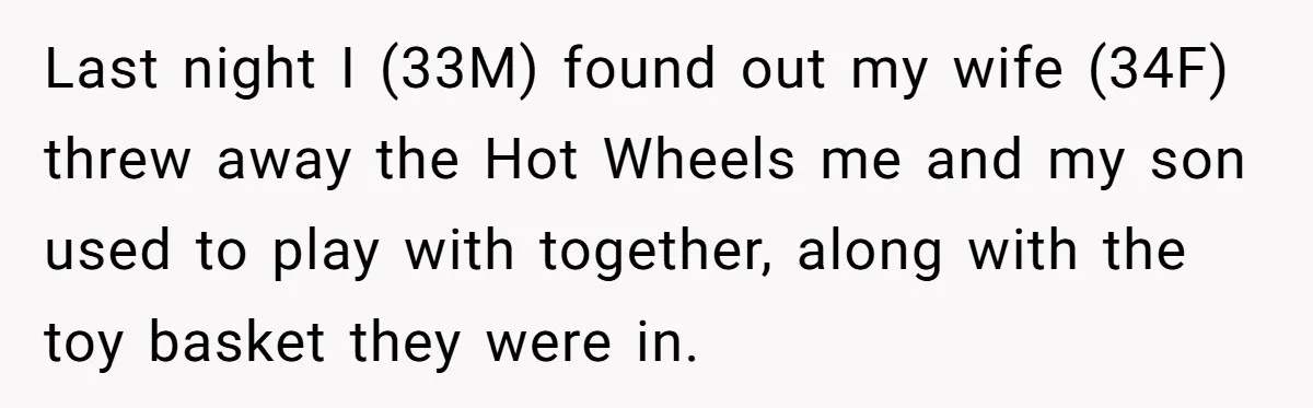Last night I (33M) found out my wife (34F) threw away the Hot Wheels me and my son used to play with together, along with the toy basket they were...