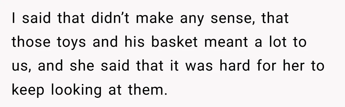 I said that didn’t make any sense, that those toys and his basket meant a lot to us, and she said that it was hard for her to keep looking...