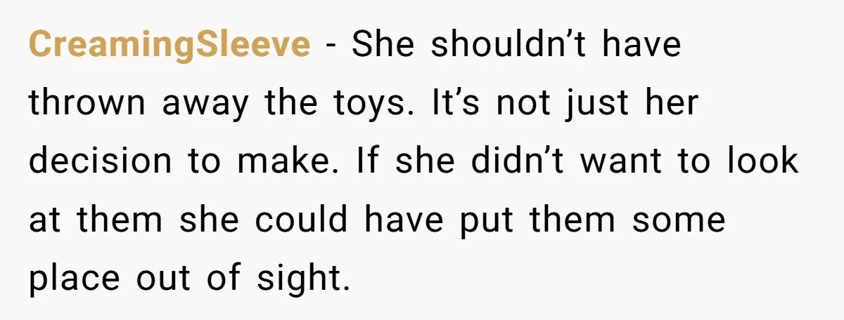 CreamingSleeve − She shouldn’t have thrown away the toys. It’s not just her decision to make. If she didn’t want to look at them she could have put them some...