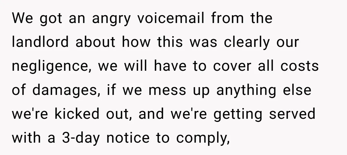 We got an angry voicemail from the landlord about how this was clearly our negligence, we will have to cover all costs of damages, if we mess up anything else...