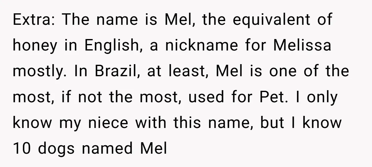 Extra: The name is Mel, the equivalent of honey in English, a nickname for Melissa mostly. In Brazil, at least, Mel is one of the most, if not the most,...