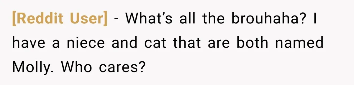 [Reddit User] − What’s all the brouhaha? I have a niece and cat that are both named Molly. Who cares?