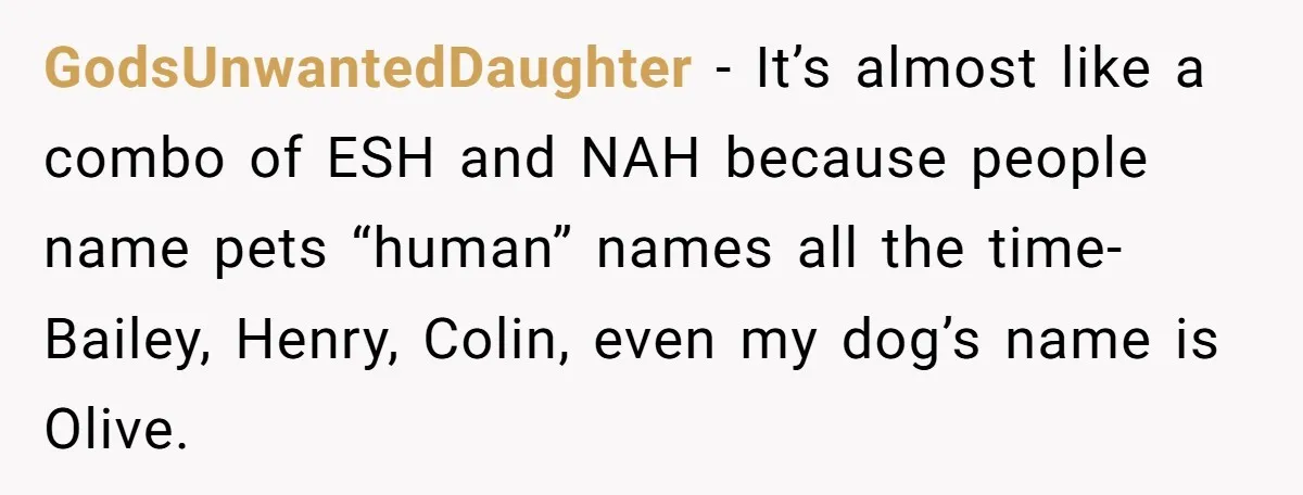 GodsUnwantedDaughter − It’s almost like a combo of ESH and NAH because people name pets “human” names all the time- Bailey, Henry, Colin, even my dog’s name is Olive.