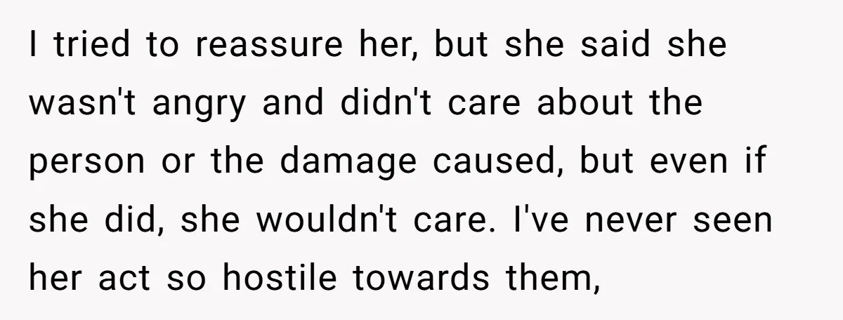 I tried to reassure her, but she said she wasn't angry and didn't care about the person or the damage caused, but even if she did, she wouldn't care. I've...