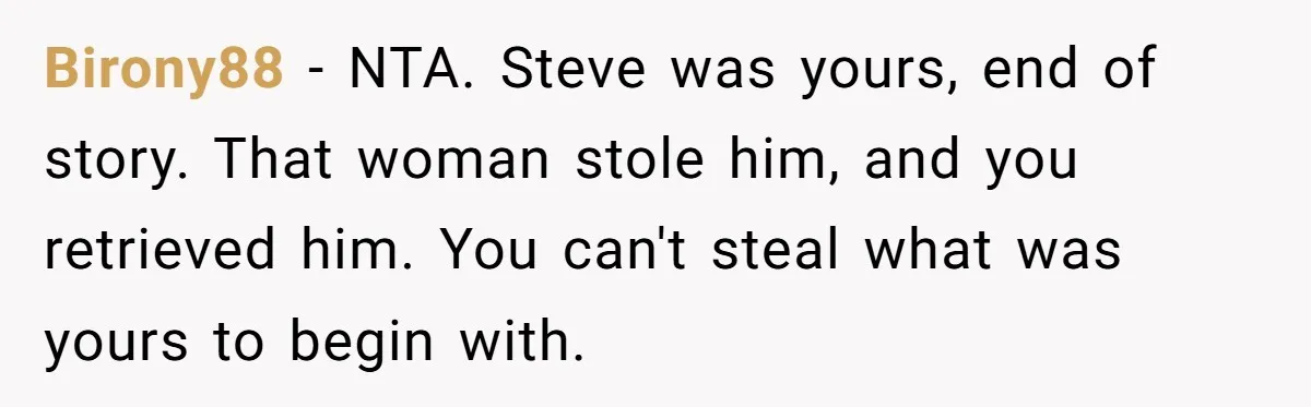 Birony88 − NTA. Steve was yours, end of story. That woman stole him, and you retrieved him. You can't steal what was yours to begin with.