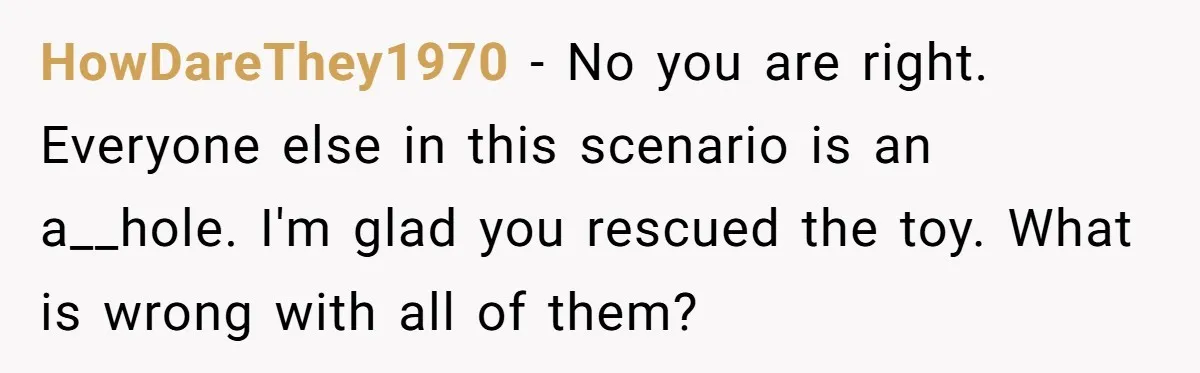 HowDareThey1970 − No you are right. Everyone else in this scenario is an a__hole. I'm glad you rescued the toy. What is wrong with all of them?