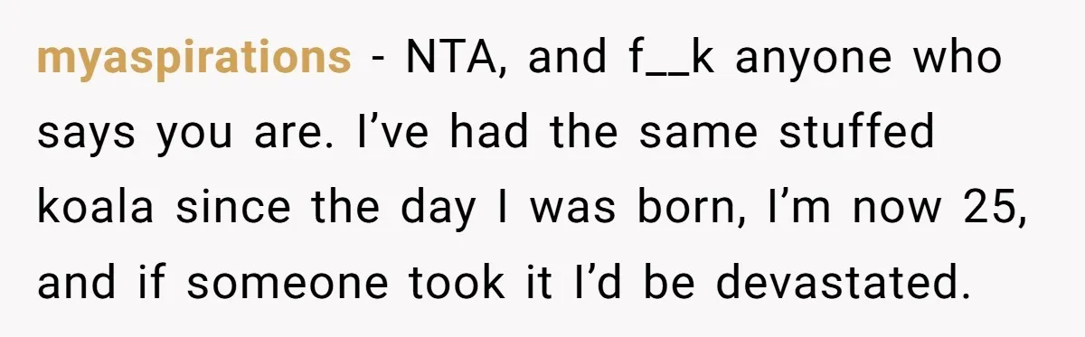 myaspirations − NTA, and f__k anyone who says you are. I’ve had the same stuffed koala since the day I was born, I’m now 25, and if someone took it...