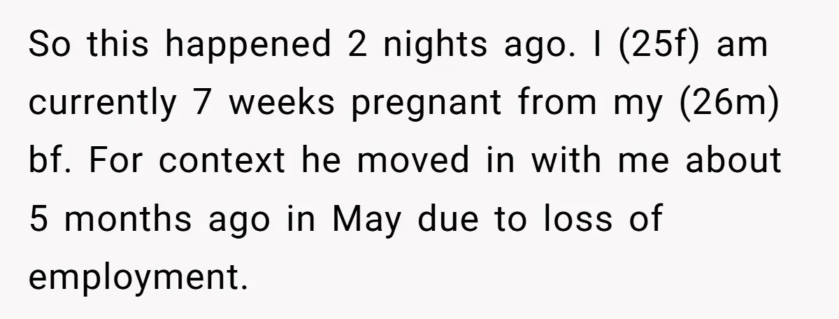 So this happened 2 nights ago. I (25f) am currently 7 weeks pregnant from my (26m) bf. For context he moved in with me about 5 months ago in May...