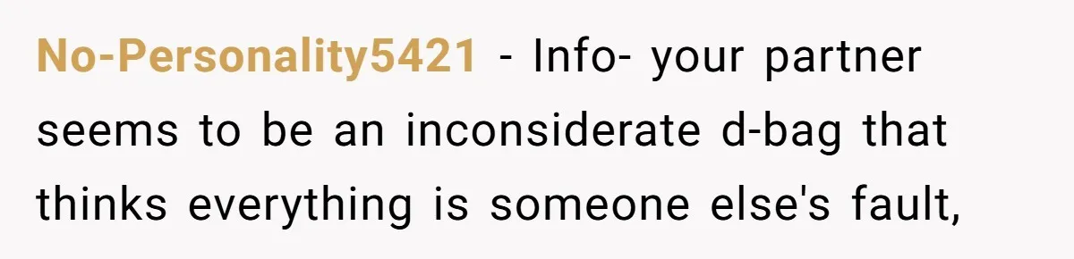 No-Personality5421 − Info- your partner seems to be an inconsiderate d-bag that thinks everything is someone else's fault,