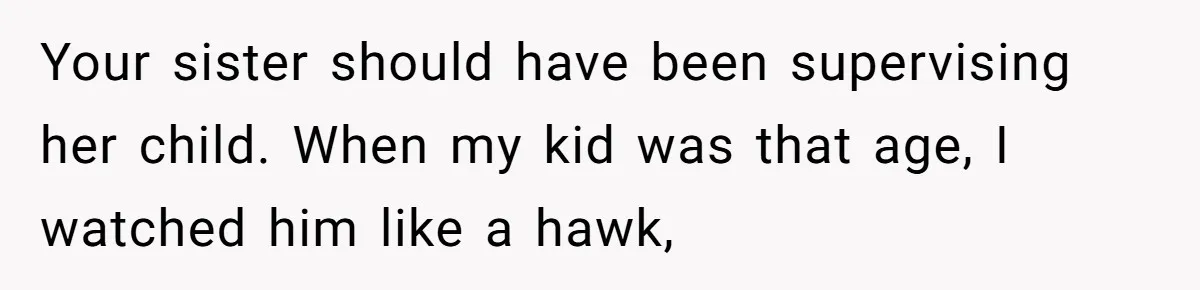 Your sister should have been supervising her child. When my kid was that age, I watched him like a hawk,