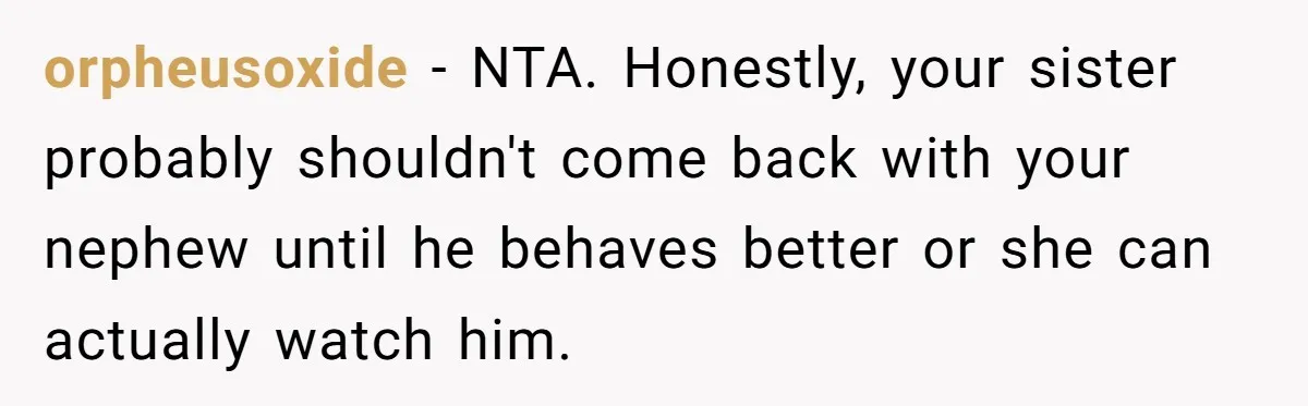 orpheusoxide − NTA. Honestly, your sister probably shouldn't come back with your nephew until he behaves better or she can actually watch him.