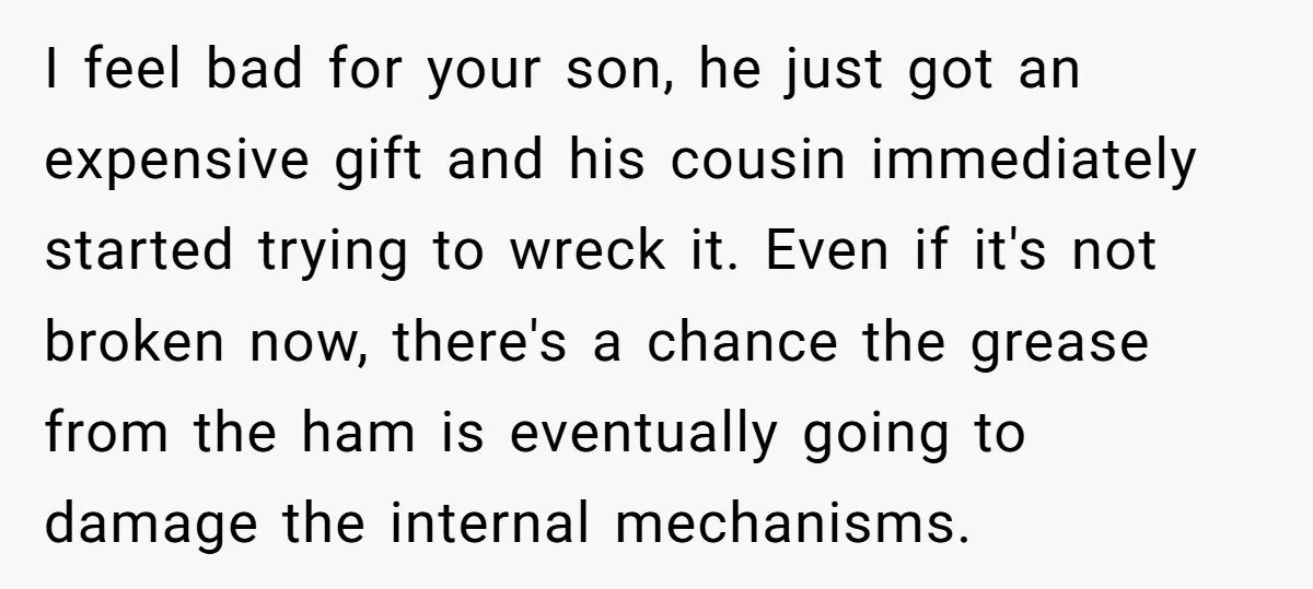 I feel bad for your son, he just got an expensive gift and his cousin immediately started trying to wreck it. Even if it's not broken now, there's a chance...