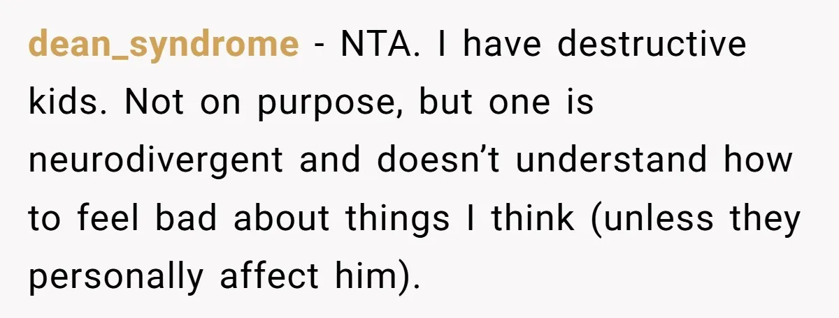 dean_syndrome − NTA. I have destructive kids. Not on purpose, but one is neurodivergent and doesn’t understand how to feel bad about things I think (unless they personally affect him).