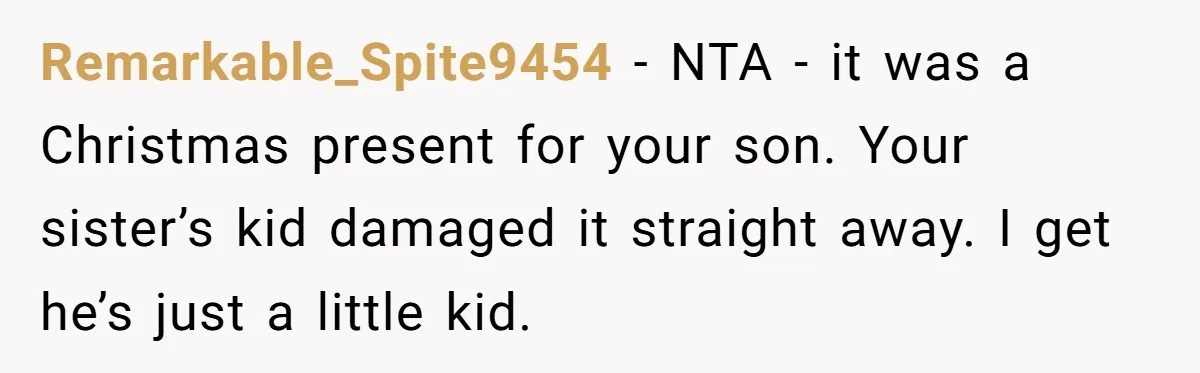 Remarkable_Spite9454 − NTA - it was a Christmas present for your son. Your sister’s kid damaged it straight away. I get he’s just a little kid.