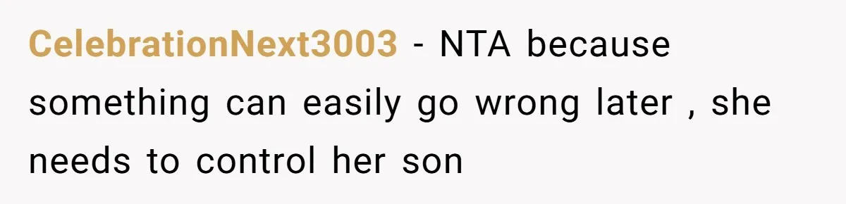 CelebrationNext3003 − NTA because something can easily go wrong later , she needs to control her son