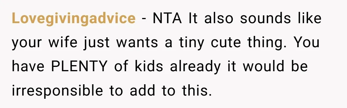 Lovegivingadvice − NTA It also sounds like your wife just wants a tiny cute thing. You have PLENTY of kids already it would be irresponsible to add to this.