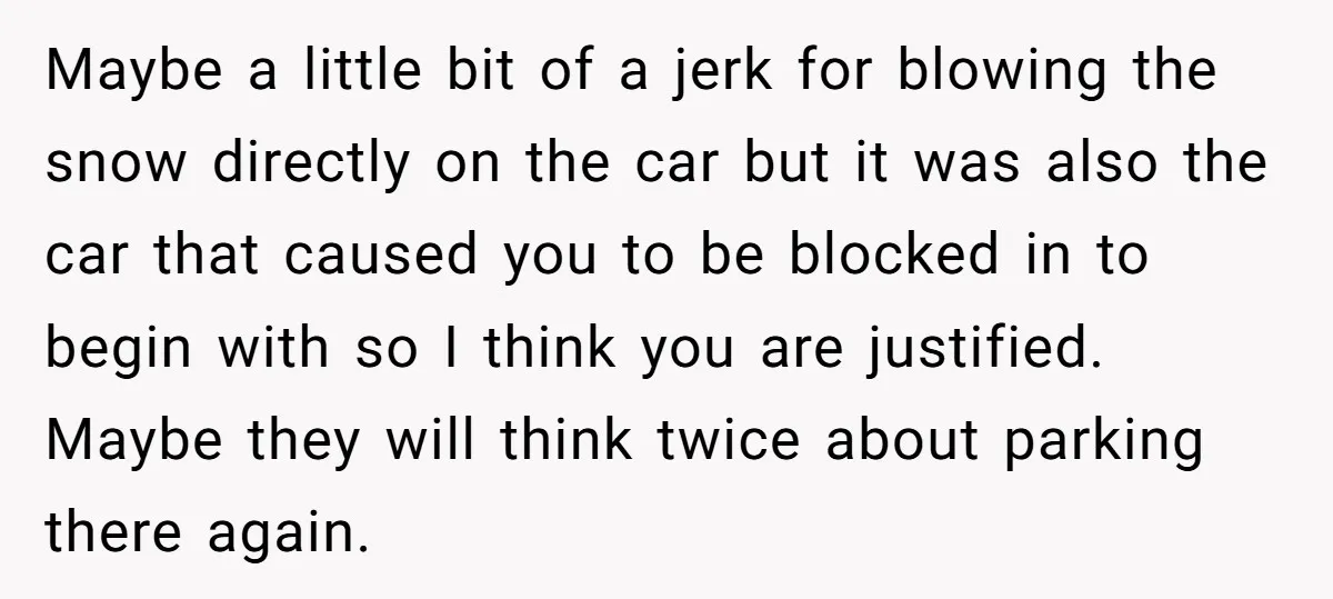 Maybe a little bit of a jerk for blowing the snow directly on the car but it was also the car that caused you to be blocked in to begin...