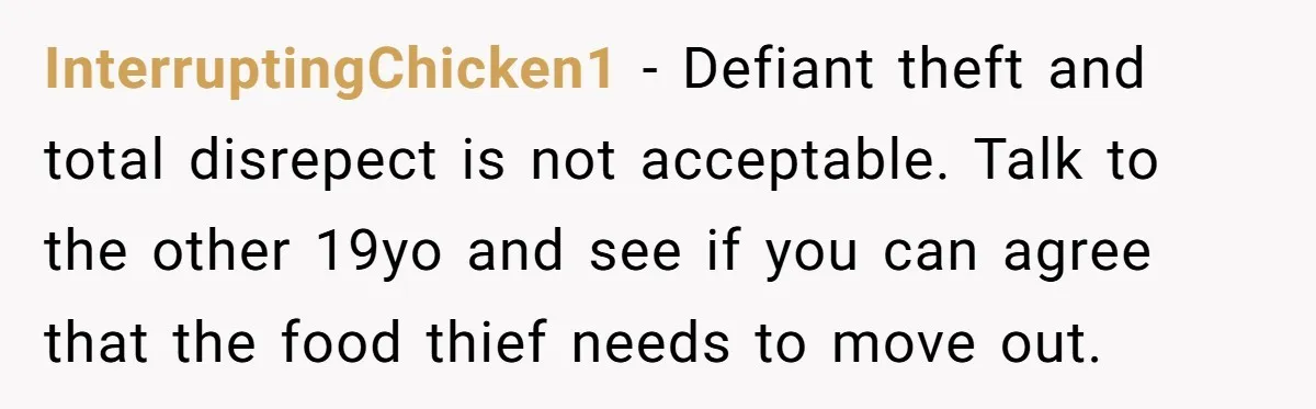 InterruptingChicken1 − Defiant theft and total disrepect is not acceptable. Talk to the other 19yo and see if you can agree that the food thief needs to move out.