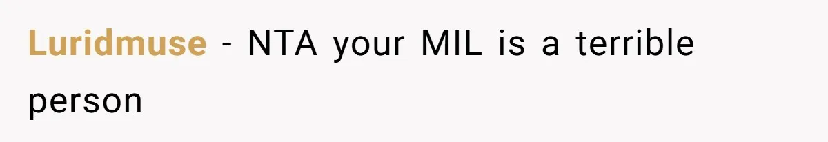 Luridmuse − NTA your MIL is a terrible person