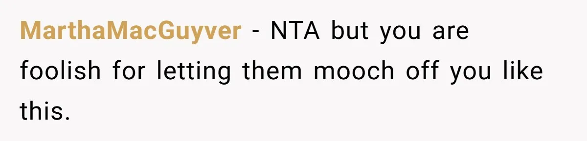 MarthaMacGuyver − NTA but you are foolish for letting them mooch off you like this.