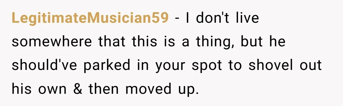 LegitimateMusician59 − I don't live somewhere that this is a thing, but he should've parked in your spot to shovel out his own & then moved up.
