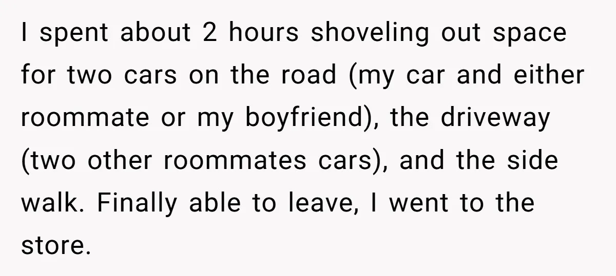 I spent about 2 hours shoveling out space for two cars on the road (my car and either roommate or my boyfriend), the driveway (two other roommates cars), and the...